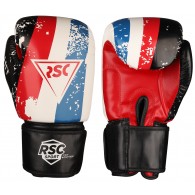 Перчатки боксёрские RSC HIT PU SB-01-146 8 унций Бело-красно-синий