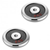 Набор хромированных дисков Voitto 5 кг (2 шт) - d26